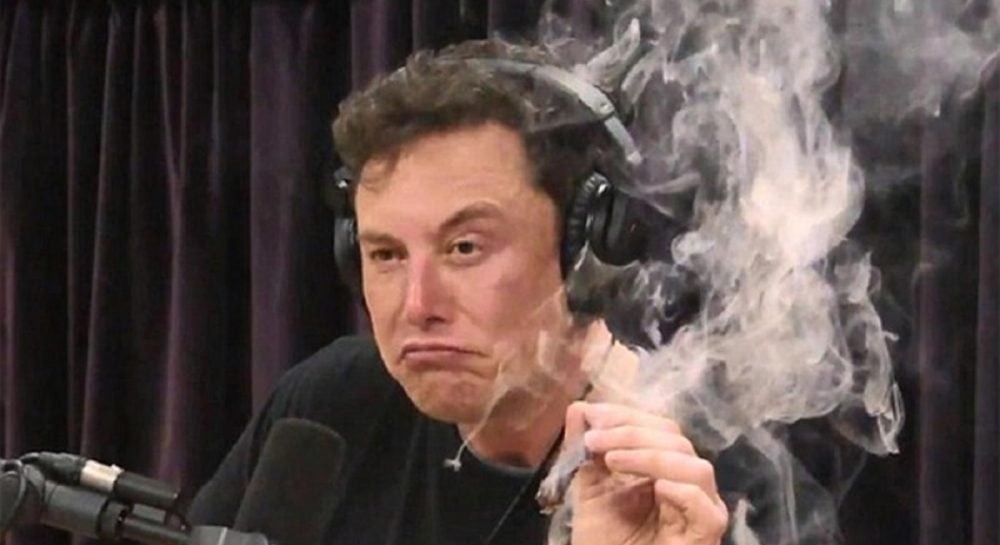 Как Илон Маск предлагает спасти Германию: размышления о демократии, лесбиянках и Гитлере