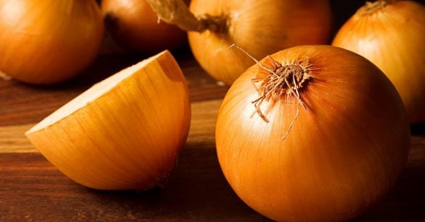 В Украине наблюдается снижение цен на лук: какова текущая стоимость килограмма?