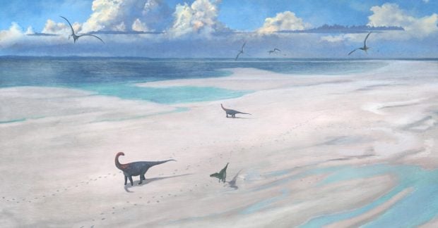 В Великобритании обнаружили «путь динозавров»: значение этого открытия