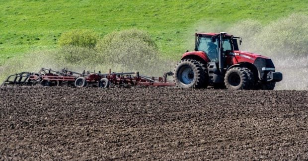 В Украине возросла стоимость земли: какова цена гектара?