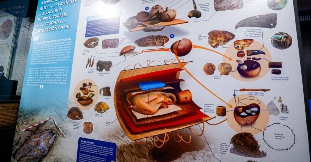 В Перу обнаружено 5000-летнее захоронение благородной дамы с украшенным клювом птицы