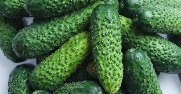 Цены на огурцы подскочили: какова стоимость килограмма в Украине?