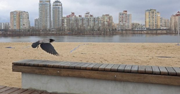 Где в Киеве находятся самые выгодные «однушки»: регионы столицы с наименьшими ценами на квартиры