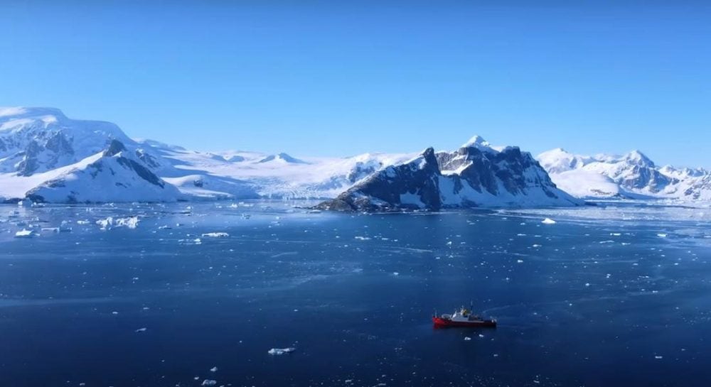 Смех и пингвины: трейлер нового фильма Антона Птушкина о полярниках Украины наконец-то вышел