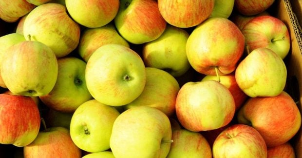 Цены на популярный фрукт в Украине продолжают резко снижаться, оставаясь вдвое выше уровней годичной давности.