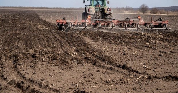 Цены на земельные участки в Украине продолжают расти в условиях конфликта: какова цена гектара сегодня?