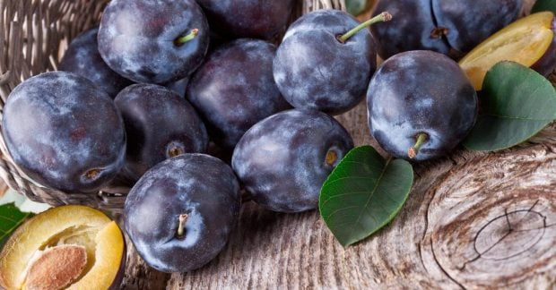Цены на сливу в Украине стремительно падают: какова текущая стоимость килограмма этого фрукта?