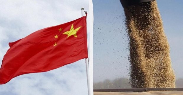 Китай способен приобрести весь соевый урожай Украины: какая связь с Трампом?