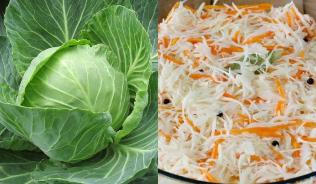 Что делать если квашеная капуста горчит: простой способ спасения