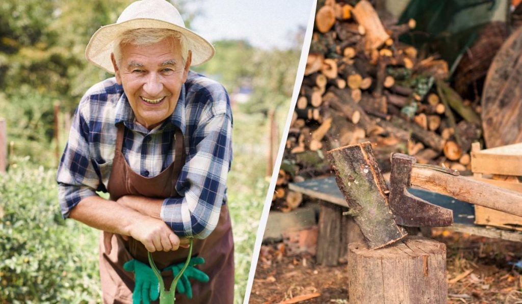 Что делать с ветками после обрезки деревьев: опытные дачники знают секрет