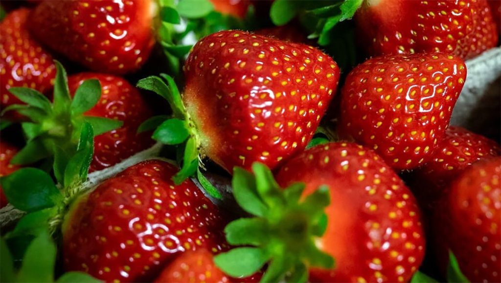 Как часто поливать клубнику: главные ошибки садоводов