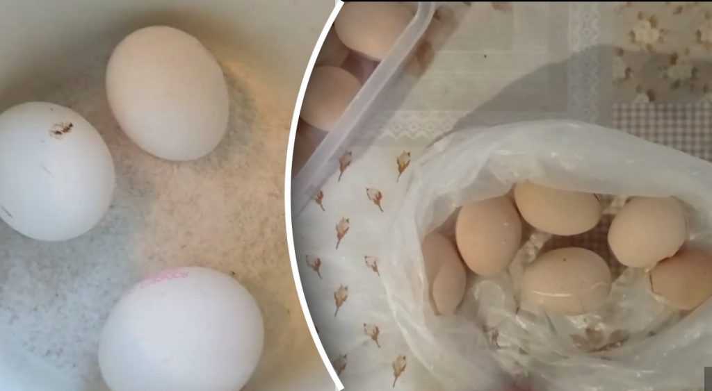 Как хранить яйца месяцами: секретный способ долгого хранения