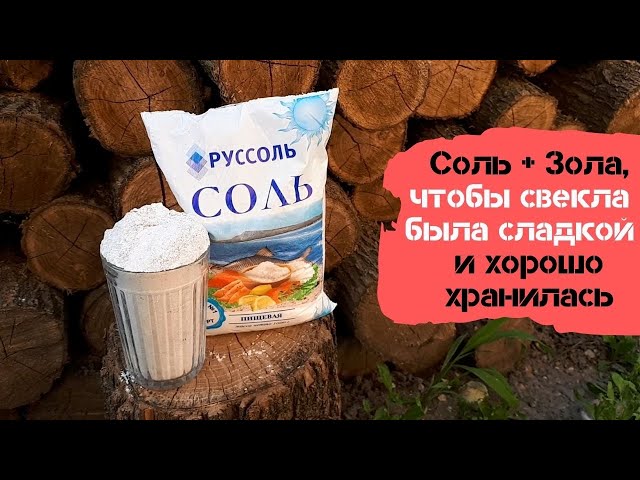 Как приготовить золу для сладкой свеклы: рецепт удобрения