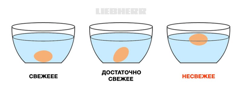 Как проверить свежесть яиц в магазине без разбивания и воды