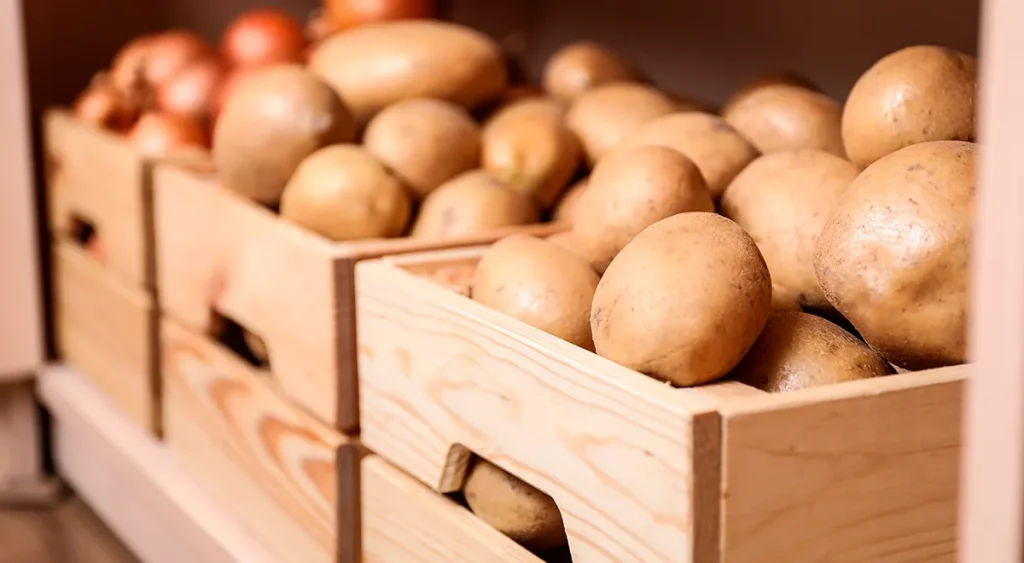 Как сохранить картофель свежим на 5 месяцев в домашних условиях