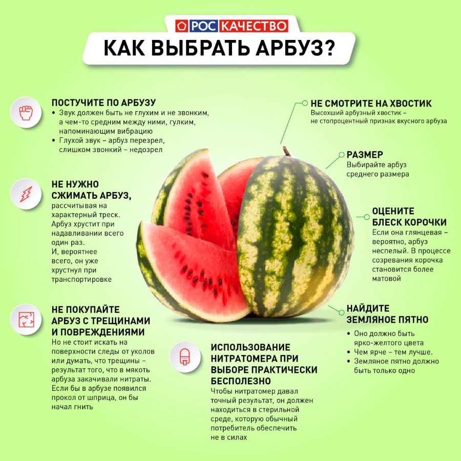 Как выбрать спелый арбуз: 4 главных признака сладкой ягоды