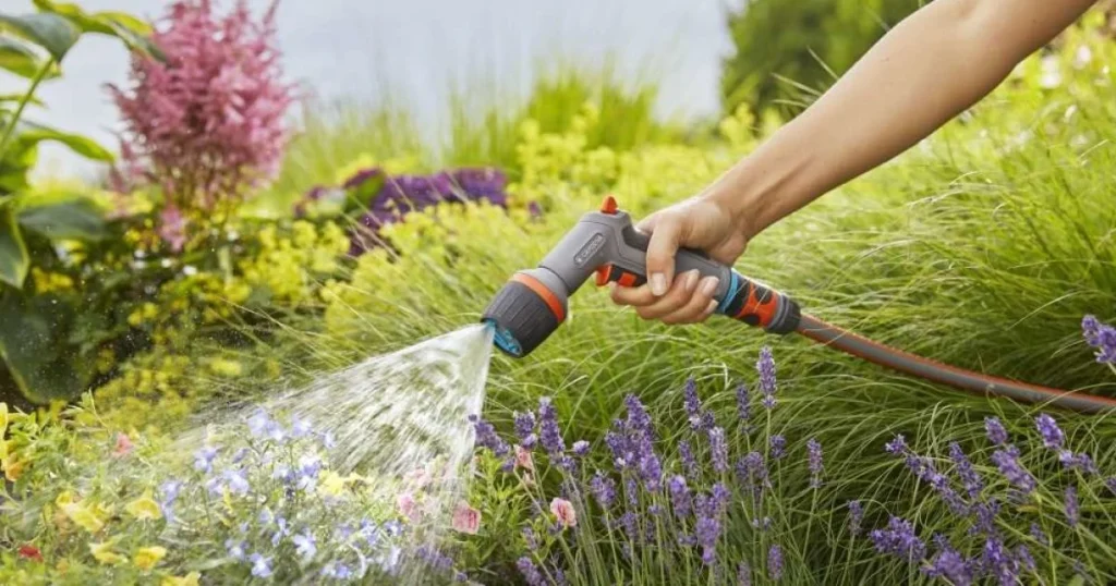 Какой водой нельзя поливать огород: ошибки дачников