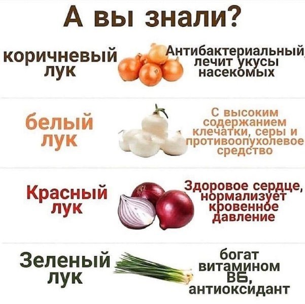 Какую цибулю выбрать для блюд: красную, белую или зеленую