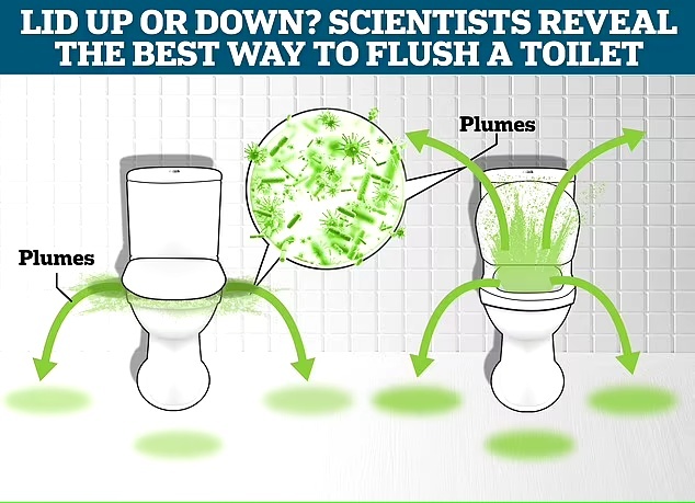 Почему нужно закрывать крышку унитаза при смыве: важные факты