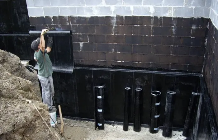 Сухой погреб без плесени и грибка: 5 бюджетных способов