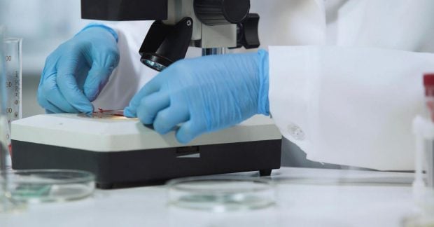 Новая интерпретация древней загадки Теотиуакана вызвала споры среди археологов Новая интерпретация древней загадки Теотиуакана вызвала споры среди археологов