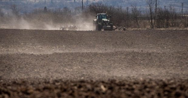 За три месяца в Украине стоимость земли продолжает снижаться: актуальные цены на гектар