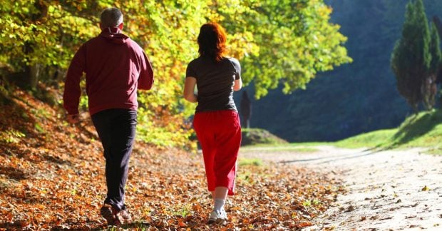 Диетолог выделила 5 неэффективных методов для сужения талии Диетолог выделила 5 неэффективных методов для сужения талии