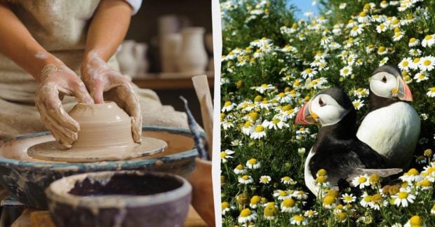 Приоритеты путешественников: ключевые тренды туризма 2026 года Приоритеты путешественников: ключевые тренды туризма 2026 года