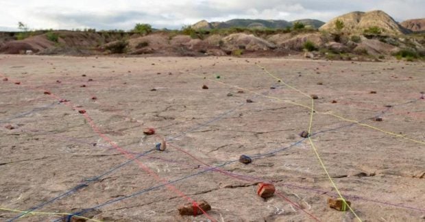 Ученые зафиксировали 18 000 древних следов динозавров вдоль побережья Ученые зафиксировали 18 000 древних следов динозавров вдоль побережья