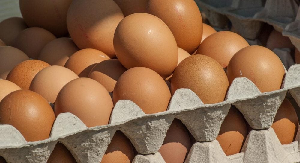 Экспорт яиц из Украины в 2025 году достиг рекордных высот: подробности и финансовые достижения Экспорт яиц из Украины в 2025 году достиг рекордных высот: подробности и финансовые достижения