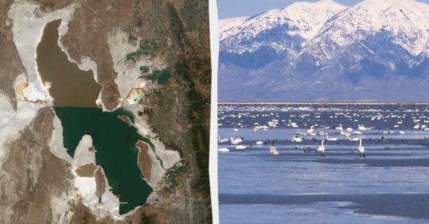 Ученые обнаружили неизвестные организмы в экстремальных условиях жизни на Земле Ученые обнаружили неизвестные организмы в экстремальных условиях жизни на Земле