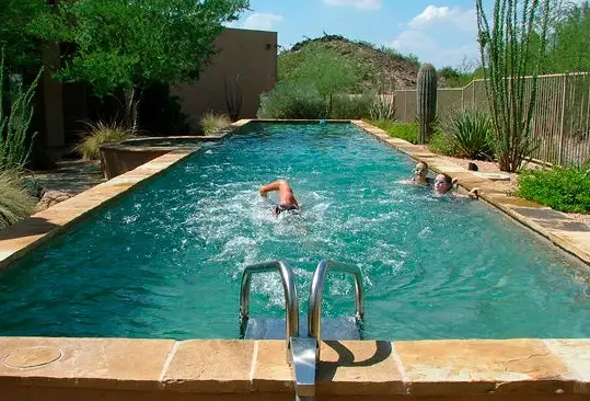 Басейну з протитечією